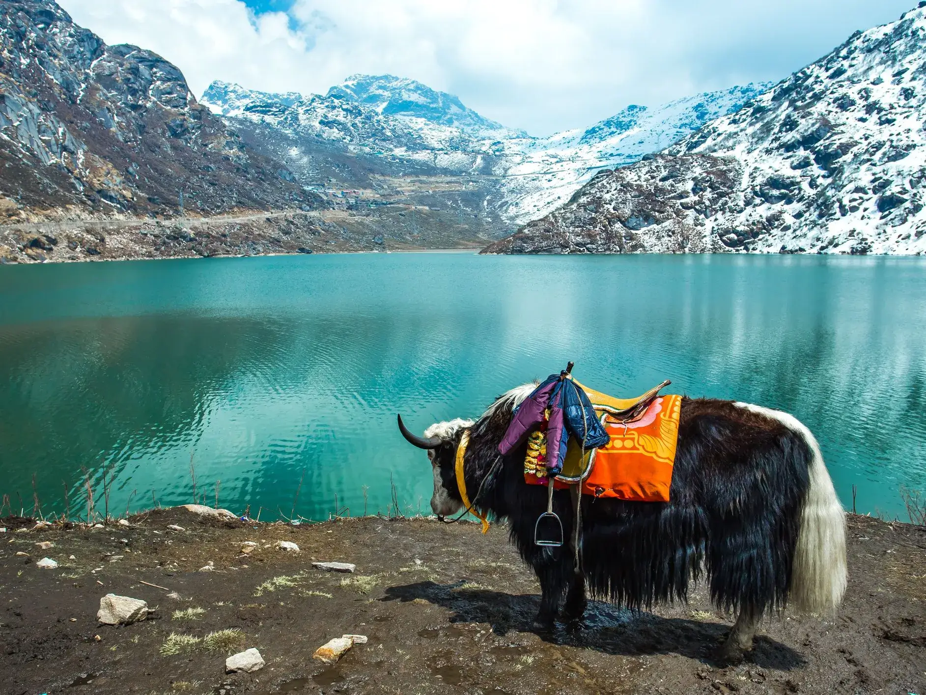 Sikkim (Darjeeling/Kalimpong/Gangtok)