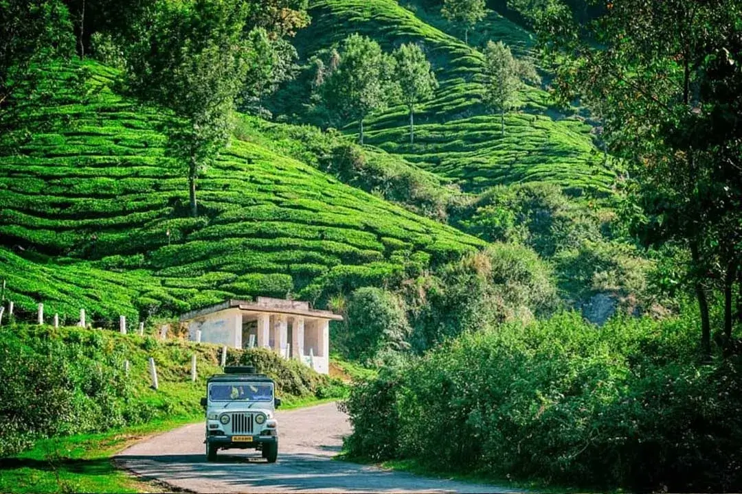 Kerela ( Munnar-Thekkady-Alleppey)